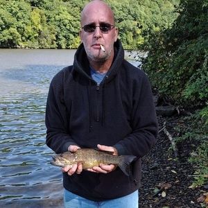 Meet your Posher, Thomas